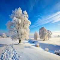 Mastering the AI Snow Effect: How to Add TikTok’s Trending Winter Magic to Your Videos (3.7M+ Views